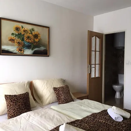 Kuria Ivachnova Homestay szállás *